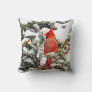 Coussin Cardinal dans un pin