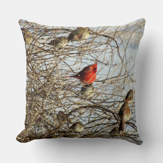 Coussin Cardinal d'hiver (Recto)