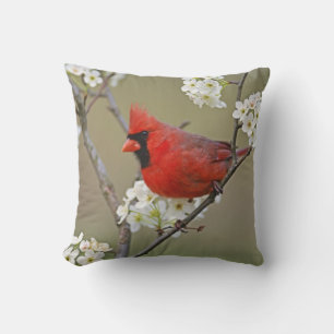 Coussin Cardinal du Nord