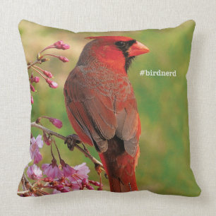 Coussin Cardinal du nord 2