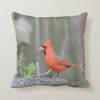 Coussin Cardinal gardant sa pochette !