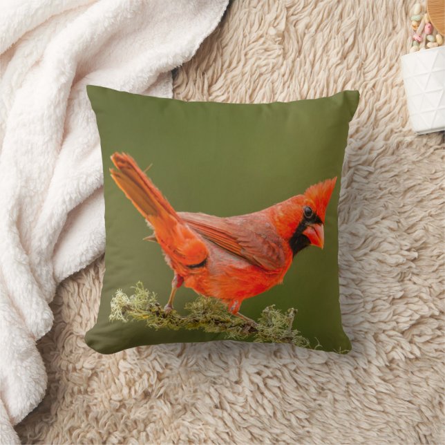 Coussin Cardinal masculin sur le membre (Couverture)