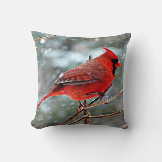 Coussin Cardinal rouge (Recto)