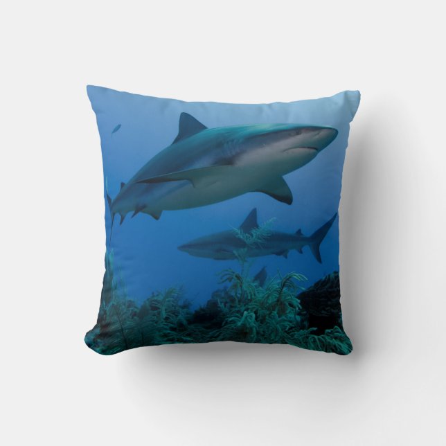 Coussin Caribbean Reef Shark (Recto)