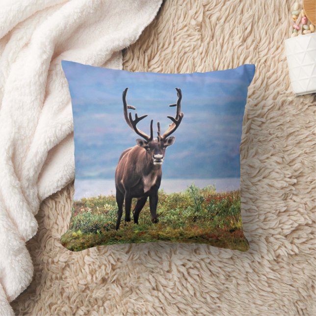 Coussin Caribou ou renne | Parc national de Denali, Alaska (Couverture)
