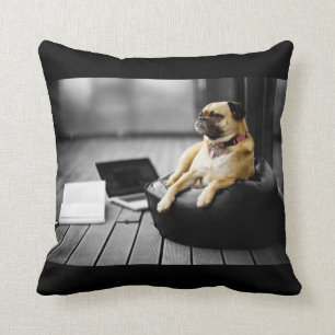 Coussin Carlin au repos
