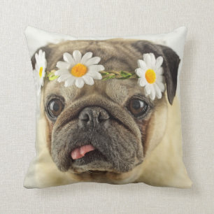 Coussin Carlin avec couronne de marguerite