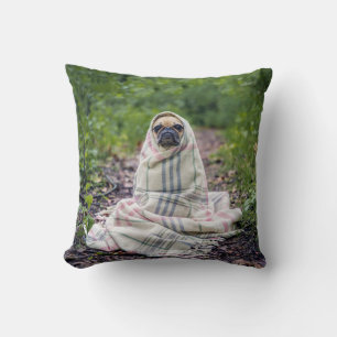 Coussin Carlin dans une couverture