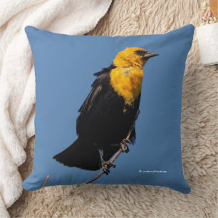 Coussin Carouge à tête jaune magnifique par un jour de ven