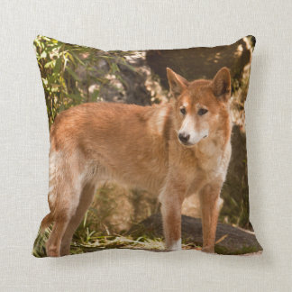 Coussin Carreau australien de dingo