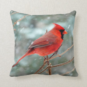 Coussin Carreau cardinal rouge d'accent de décor de maiso