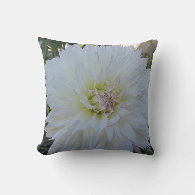 Coussin Carreau--Dahlia "d'amour fol" (Recto)