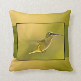 Coussin carreau de colibri