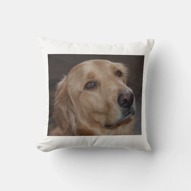 Coussin Carreau de golden retriever (Recto)