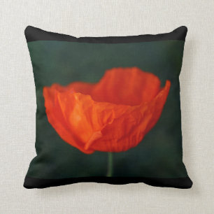 Coussin Carreau de pavot d'Islande