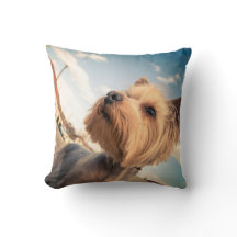 Carreau de photo d'animal familier