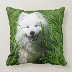 Coussin Carreau de Samoyed