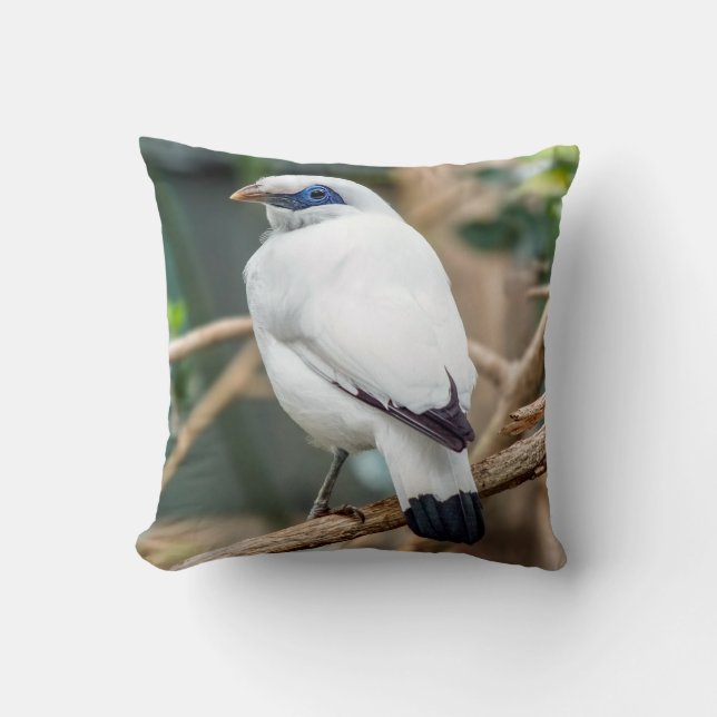 Coussin Carreau d'oiseau de Bali Myna (Recto)