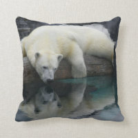 Carreau d'ours blanc. Photographie de faune