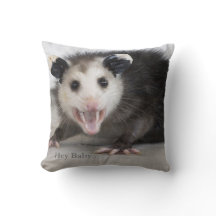 Carreau drôle d'opossum de protection de