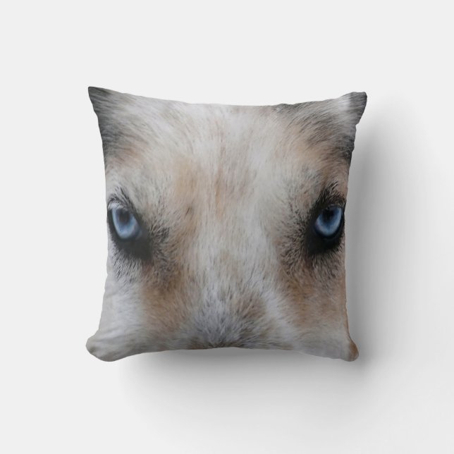 Coussin Carreau enroué de photo de chien d'yeux bleus (Recto)