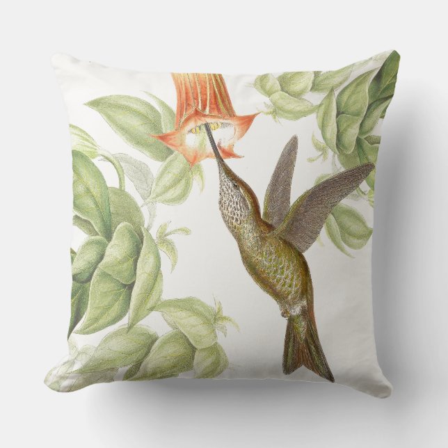Coussin carreau Épée-affiché de fleur d'oiseaux de colibri (Recto)