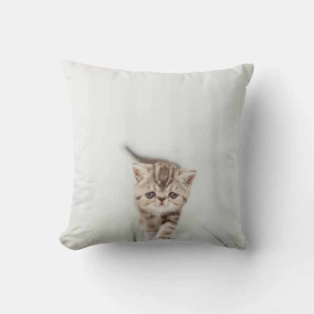 Coussin Carreau exotique persan mignon triste de chat de (Recto)