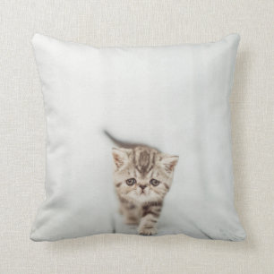 Coussin Carreau exotique persan mignon triste de chat de