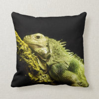 Carreau noble d'iguane