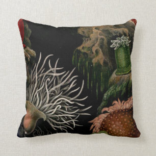 Coussin Carreau noir et coloré d'actinie