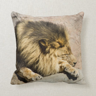 Coussin Carreau paresseux de lion