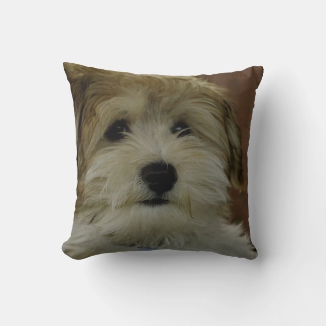 Coussin Carreau trop mignon de chiot (Recto)