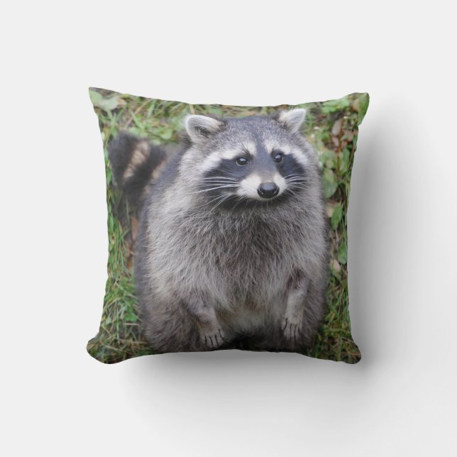 Coussin Carreau velu adorable de raton laveur (Recto)