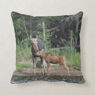 Coussin Carreaux de camps de région sauvage d'étang de Tim