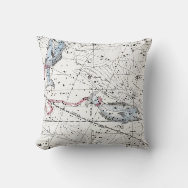 Coussin Carte du plat XXII de constellations (Recto)