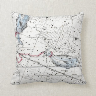 Coussin Carte du plat XXII de constellations