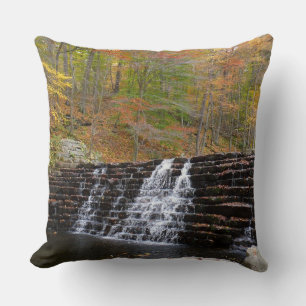 Coussin Cascade à Laurel Hill State Park I