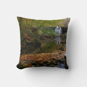 Coussin Cascade et ruisseau d'automne en Pennsylvanie Natu