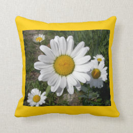 Coussin Casta Daisies (Chrysanthemum maximum)