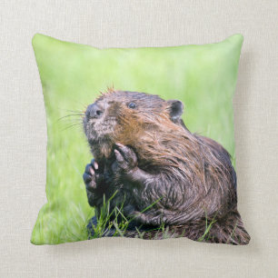 Coussin Castor humide