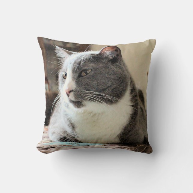 Coussin Cat (Recto)