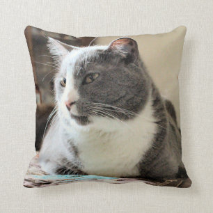 Coussin Cat