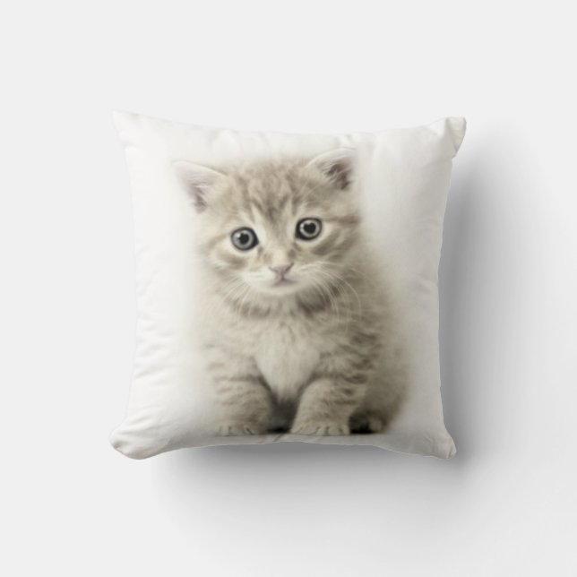 COUSSIN CAT (Recto)