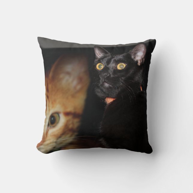 Coussin Cat (Recto)