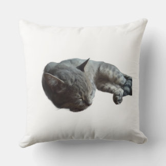 Coussin Cat sleeping