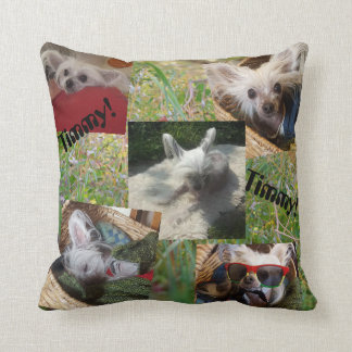 Coussin Cattails et chien mignon