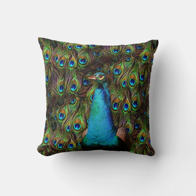 Coussin Ce paon vous regarde ! (Recto)