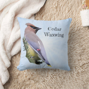 Coussin Cèdre