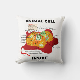 Coussin Cellule animale à l'intérieur du diagramme Eukaryo