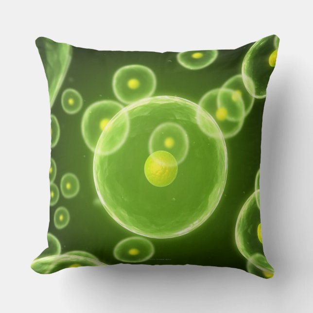 Coussin Cellules 2 (Recto)